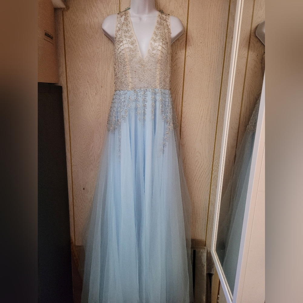 Elegant Blue and Gold Gown